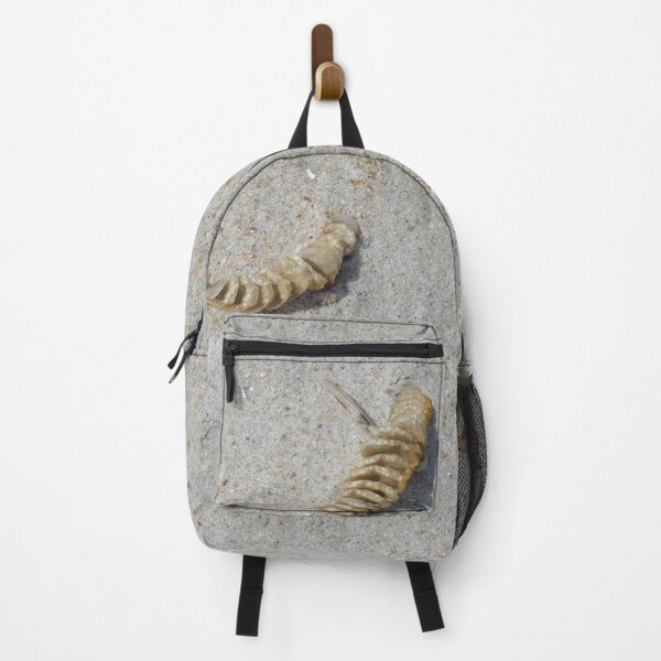 Item preview, Conch Shell Egg Sack in the Sand at Assateague Island Maryland designed and sold by Twittlefish.