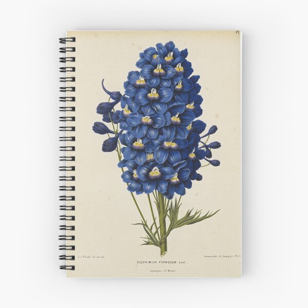 Item preview, Blue Delphinium Print designed and sold by Lloyd Library & Museum.