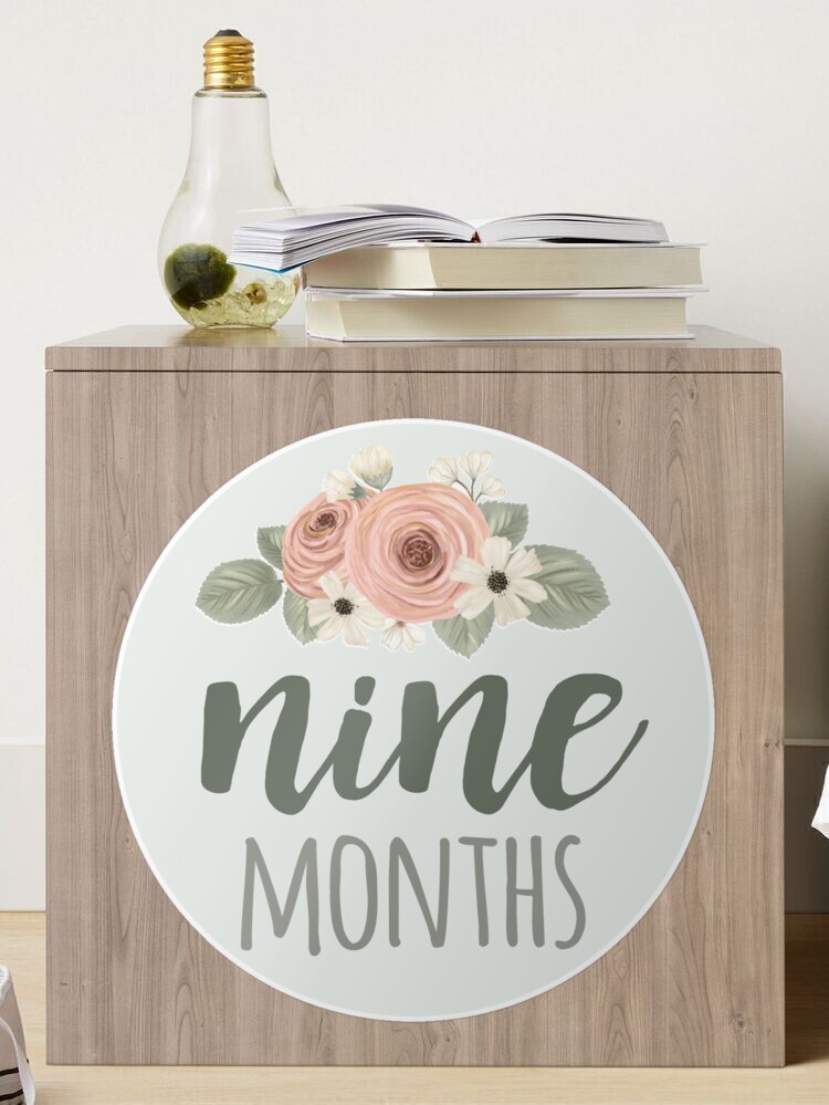 Monthly Stickers Floral Milestone Stickers Cute Creative - Temu