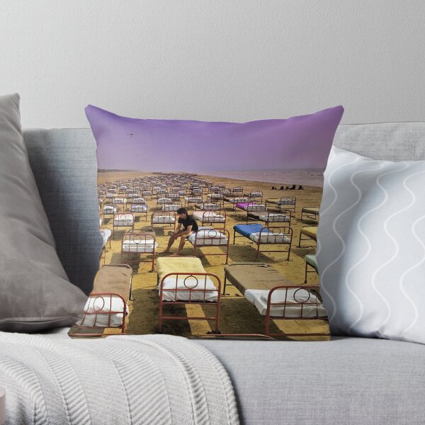 A Momentary Lapse of Reason (HQ) Throw Pillow