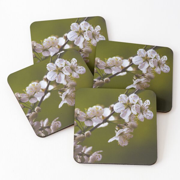 Item preview, Ch-ch-ch-cherry blossom  designed and sold by SH3RW1N.
