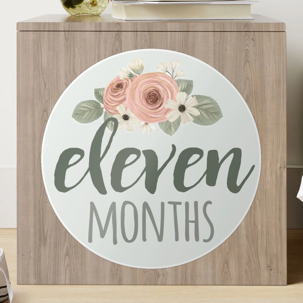 Indie Flower Craft Baby Month Stickers – iCustomLabel