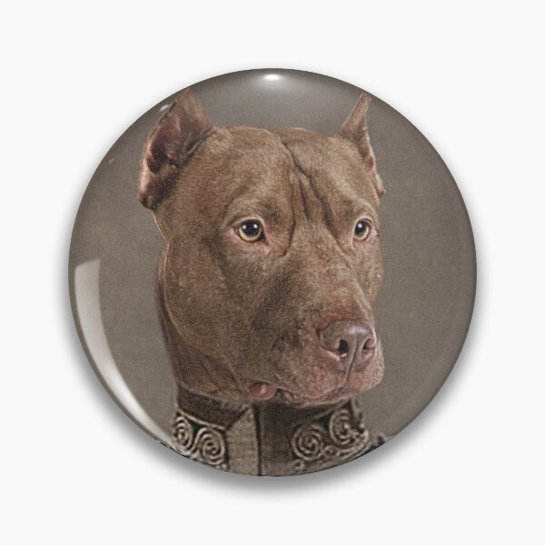 Item preview, Portrait of a purebred American Pit Bull Terrier dog designed and sold by david parry.