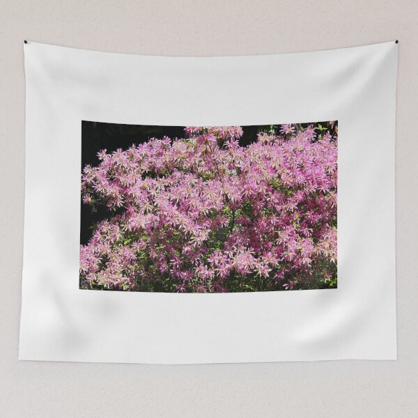 Item preview, Pink Chinese Fringe Flower designed and sold by Cynthia48.
