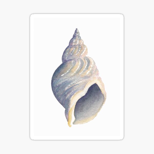 Sea shell I Sticker