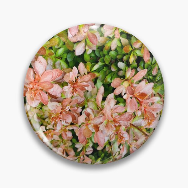 Item preview, A bush designed and sold by Srujanagade.