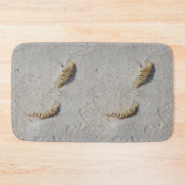 Item preview, Conch Shell Egg Sack in the Sand at Assateague Island Maryland designed and sold by Twittlefish.