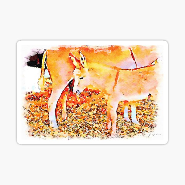 Baby donkey next to the female donkey Sticker