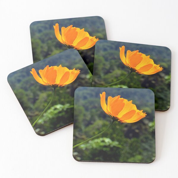 Item preview, flower.trees.daylight.yellow flower designed and sold by kajolchandanart.