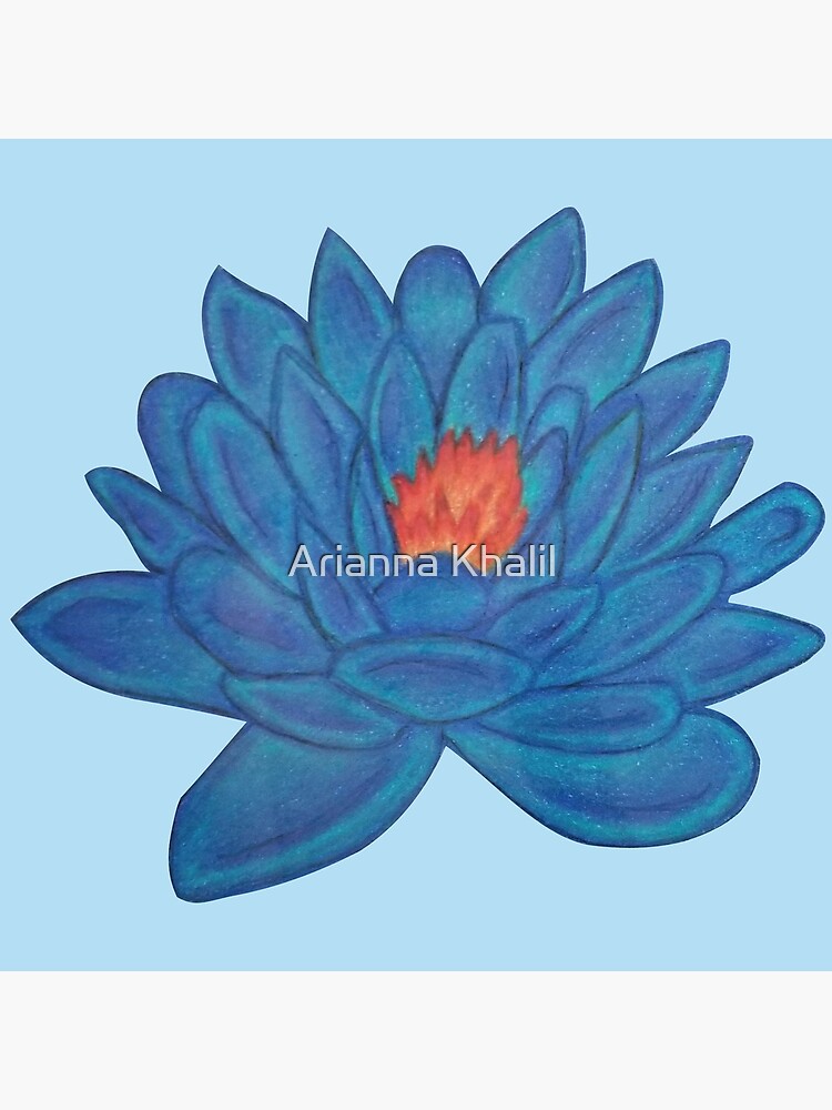 "Blue Lotus Flower Drawing" Art Print by Ariannamedia Redbubble