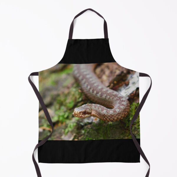 Item preview, European adder close up designed and sold by Jouko Lehto Photography.