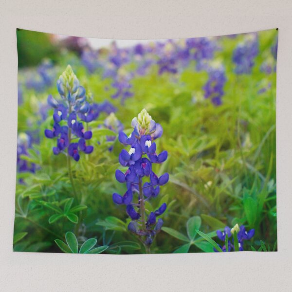 Item preview, Bluebonnet Hill designed and sold by seatheskies.