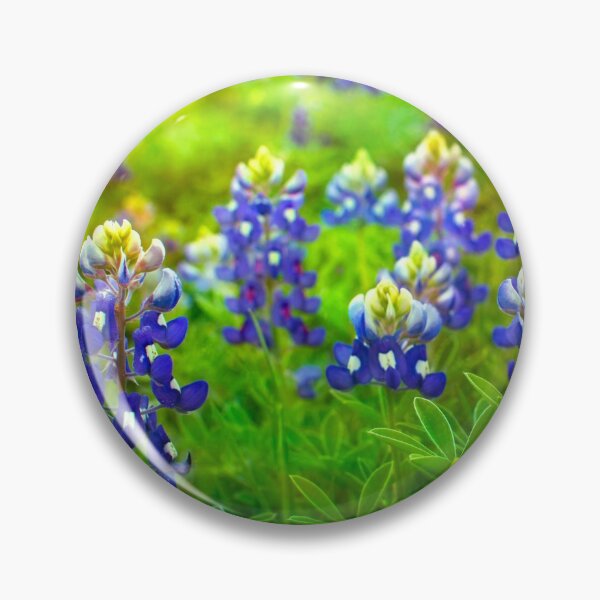Item preview, Bluebonnets Sun Bath designed and sold by seatheskies.