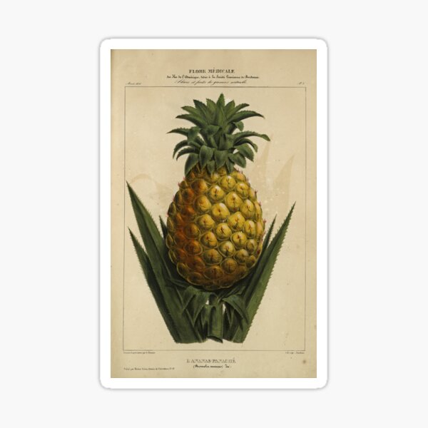 Pineapple Print Sticker