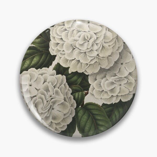 Item preview, Viburnum plicatum Print designed and sold by Lloyd Library & Museum.