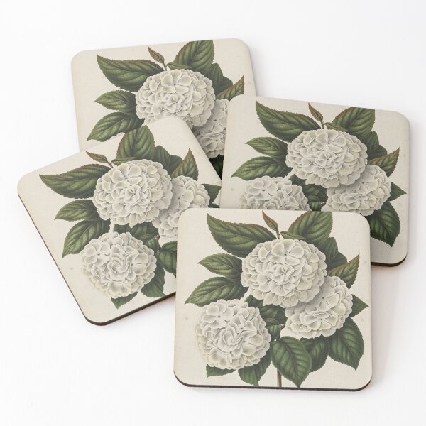Item preview, Viburnum plicatum Print designed and sold by Lloyd Library & Museum.