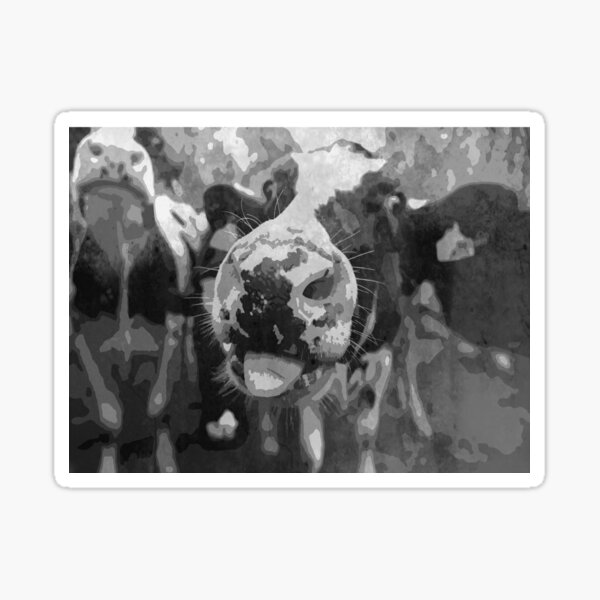 Vista previa del artículo con la obra «Lámina artística Cara de vaca tonta», diseñado y vendido por LAURA TRACY.