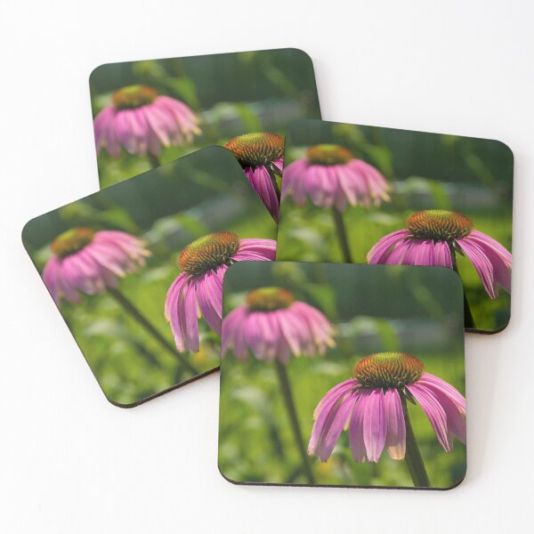 Item preview, Echinacea Purpurea Flowers designed and sold by jojobob.