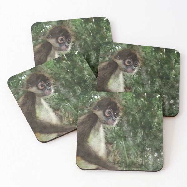 Item preview, Spider Monkey designed and sold by DigitalGrail.