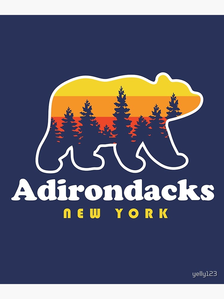Disover Adirondacks New York Bear Premium Matte Vertical Poster