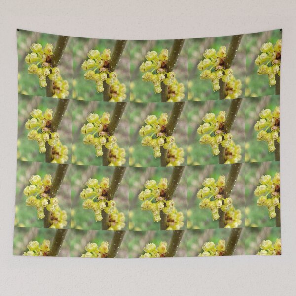 Item preview, The Yellow Flowers of Northern Spicebush designed and sold by Max Kindly.