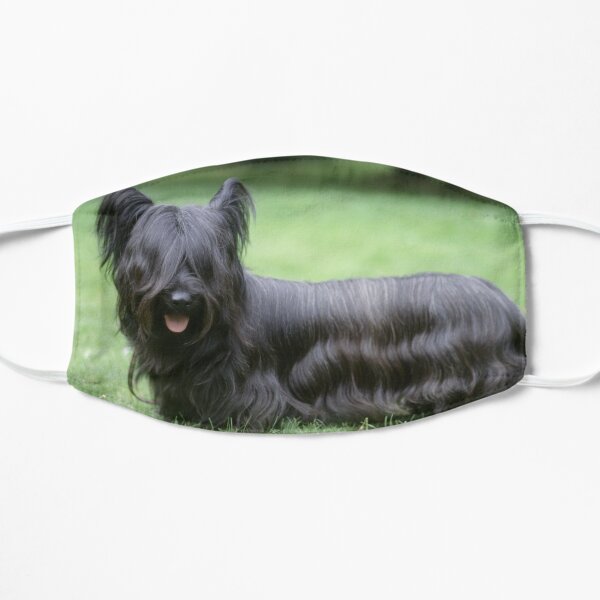 Black Skye Terrier Dog Standing on Grass Flat Mask