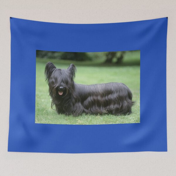 Item preview, Black Skye Terrier Dog Standing on Grass designed and sold by ScienceSource.