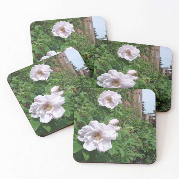 Item preview, Flowers of St. Thomas designed and sold by Mistreena.
