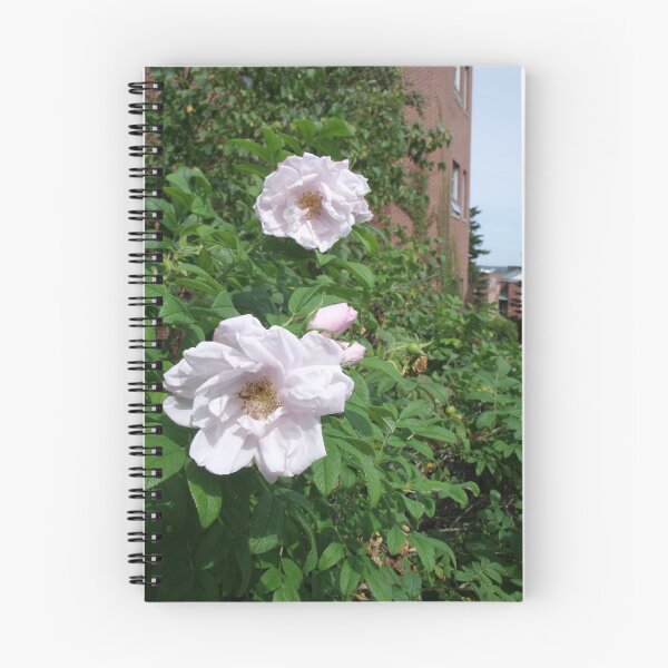 Item preview, Flores de Santo Tomás designed and sold by Mistreena.