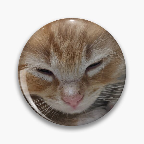Item preview, Sleepy ginger ragdoll mainecoon kitten designed and sold by Fluffycat2020.