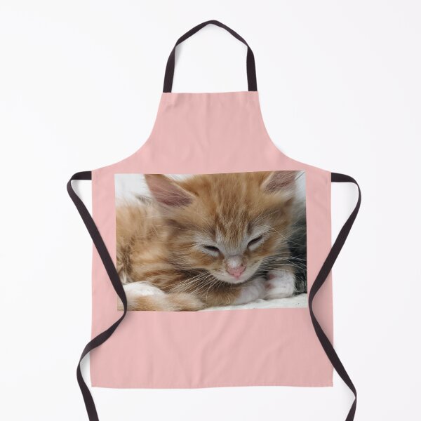 Item preview, Sleepy ginger ragdoll mainecoon kitten designed and sold by Fluffycat2020.