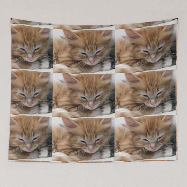 Item preview, Sleepy ginger ragdoll mainecoon kitten designed and sold by Fluffycat2020.