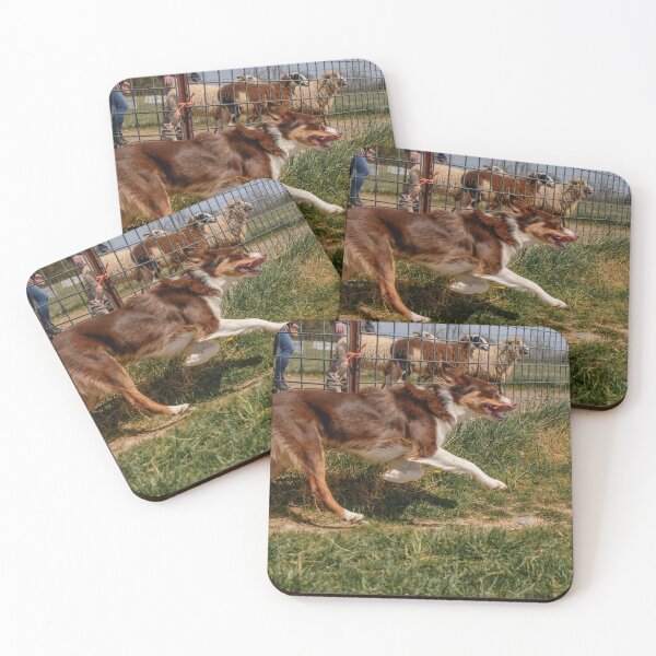 Item preview, Sheep Herding instinct trial April 24 designed and sold by Ivy Fox Illustration.