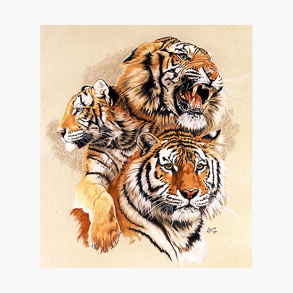 Siberian Symmetry Photographic Print
