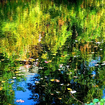 Artwork thumbnail, Spring Reflections by PatSeg Photos