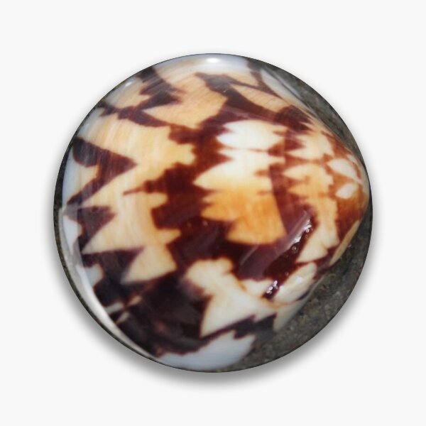 Item preview, Sea Shell designed and sold by Daniel Wieland.