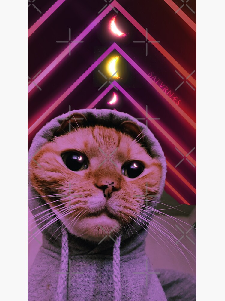 "swag hoodie cat meme" Sticker for Sale by lanssk Redbubble