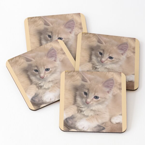 Item preview, Ragdoll Mainecoon kitten designed and sold by Fluffycat2020.