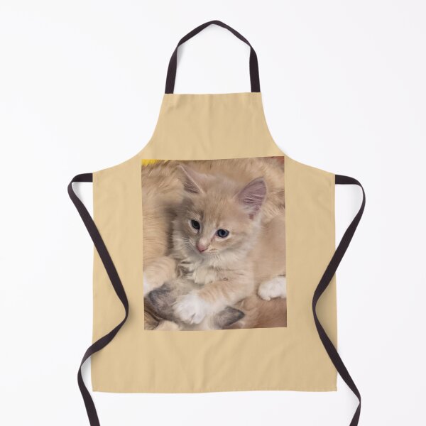 Item preview, Ragdoll Mainecoon kitten designed and sold by Fluffycat2020.