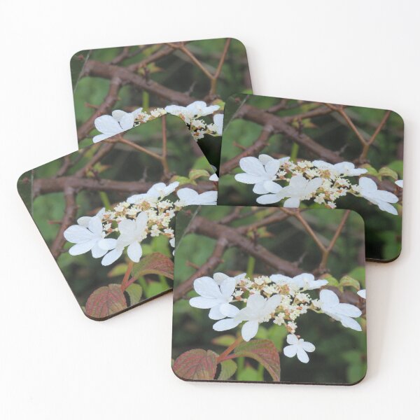 Item preview, Big and small viburnum flowers designed and sold by greentiger1.