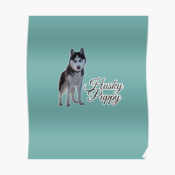 Husky Mix Posters Redbubble