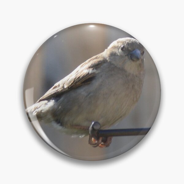 Item preview, Bird designed and sold by bradleyduncan.