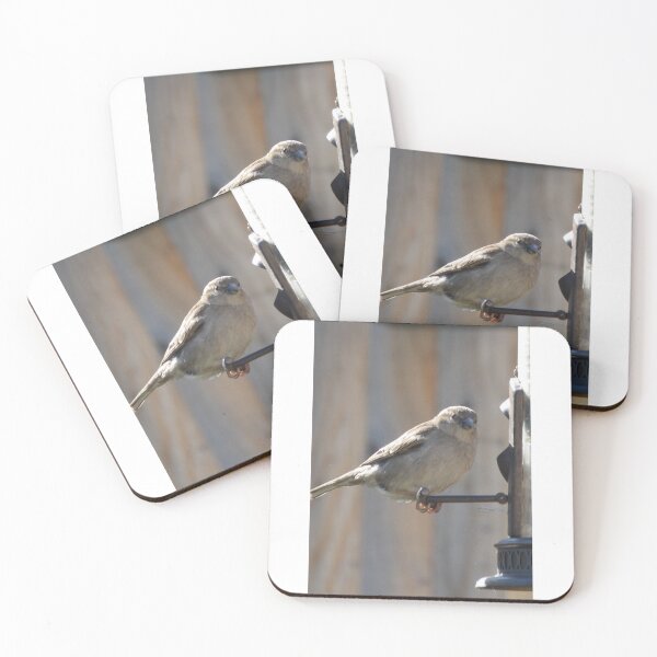 Item preview, Bird designed and sold by bradleyduncan.
