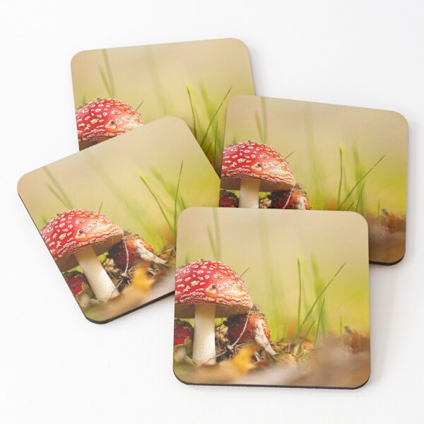 Item preview, Fairytale Funghi designed and sold by CBoyle.