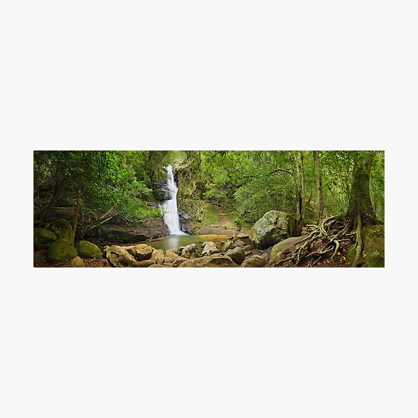 Photographic Print