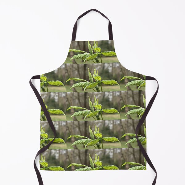 Item preview, Boxelder Maple Spring Leaves designed and sold by Max Kindly.