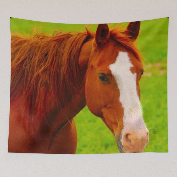 Item preview, Brown Horse Fav designed and sold by LisaMPierce1990.