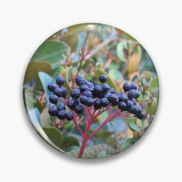 Item preview, Black dew covered berries designed and sold by greentiger1.