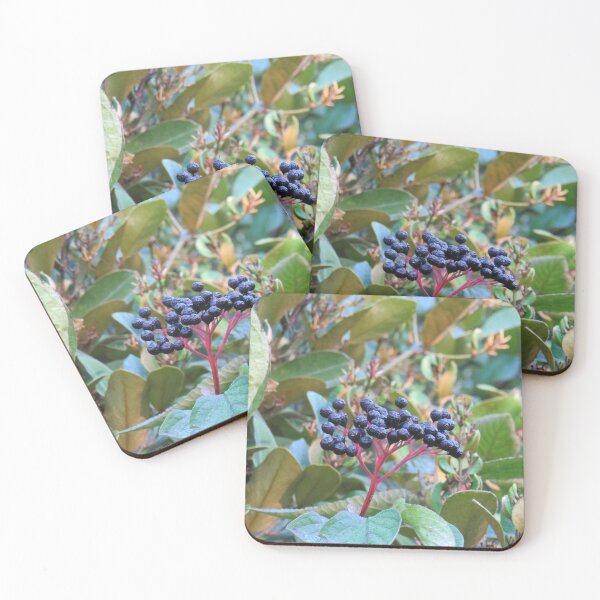 Item preview, Black dew covered berries designed and sold by greentiger1.