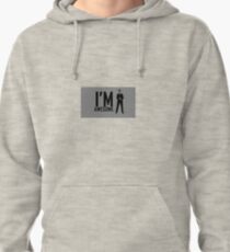 "I'm Awesome" Grey Addition with Barney Pullover Hoodie